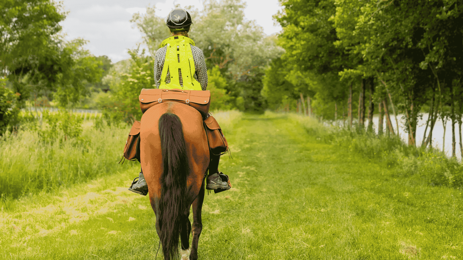 Askara - equipement equestre
